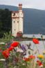 der Museturm bei Bingen